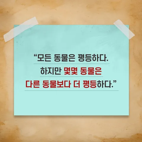 제주 '반려동물 수영장 공사 중단' 환경청 조사 착수