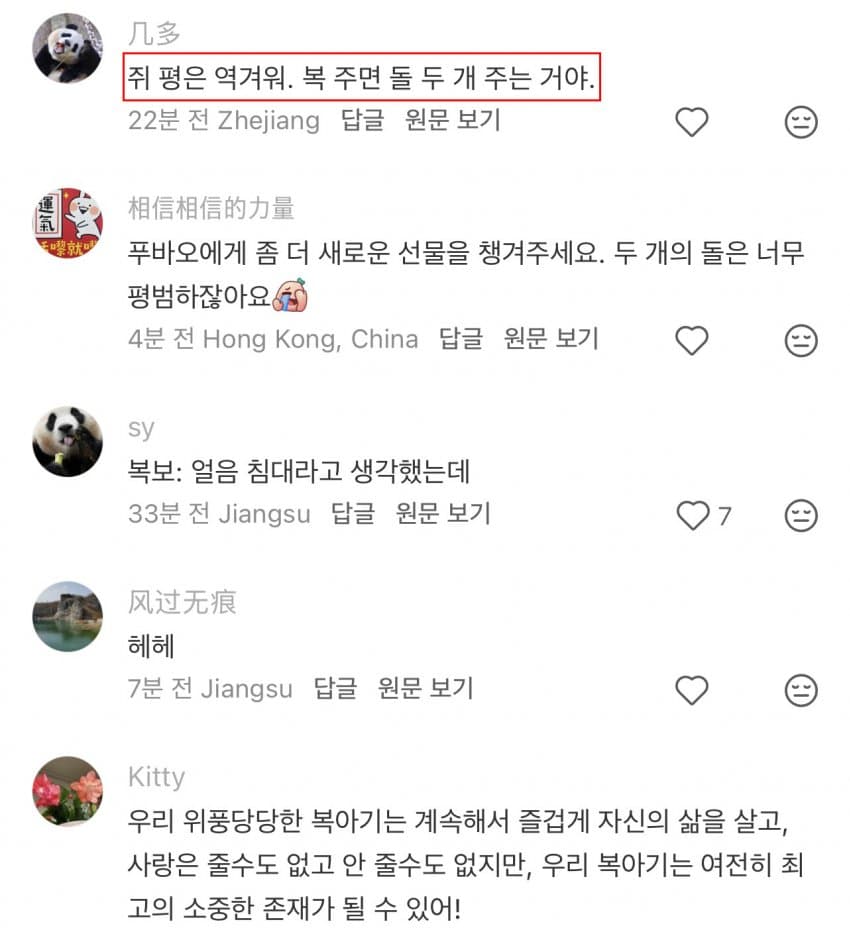 오늘 돌덩이만 두개 받은 푸바오 🤬