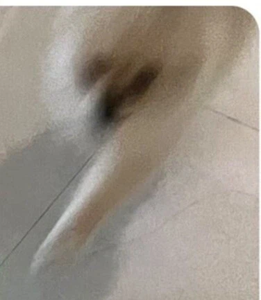 친구집에서 발매트인줄 알고 밟고 있던 것의 정체.JPG