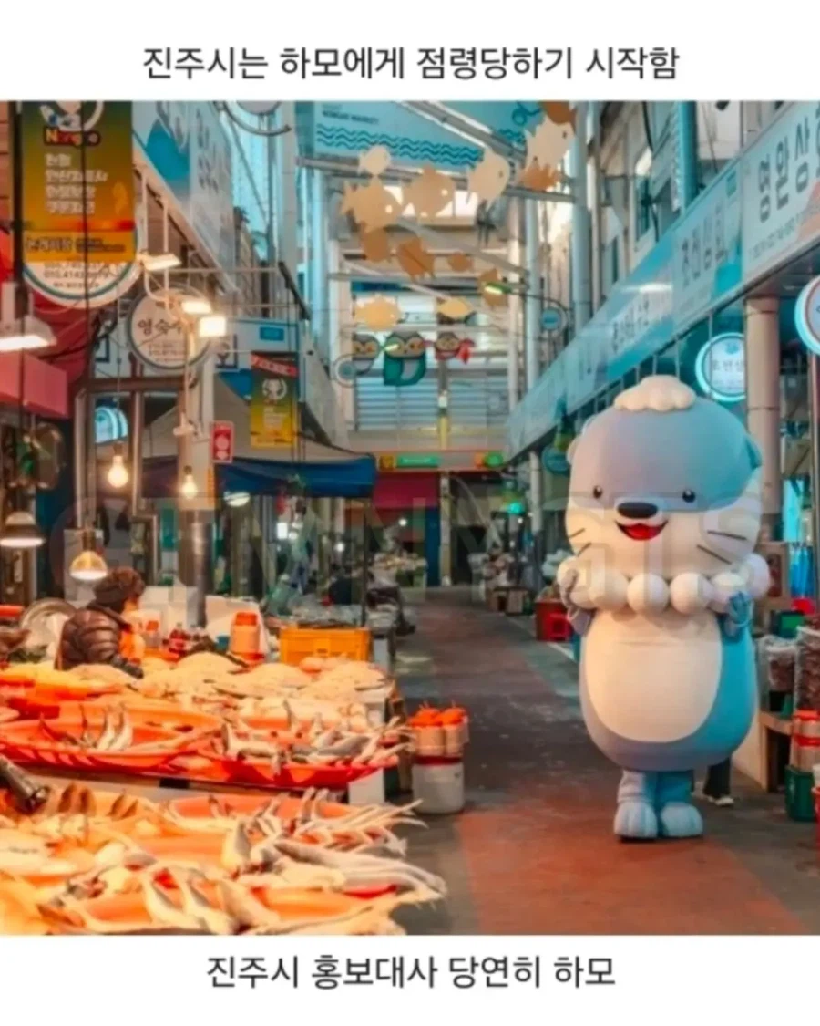 지역 마스코트바꾸고 정착에 성공한 지역..