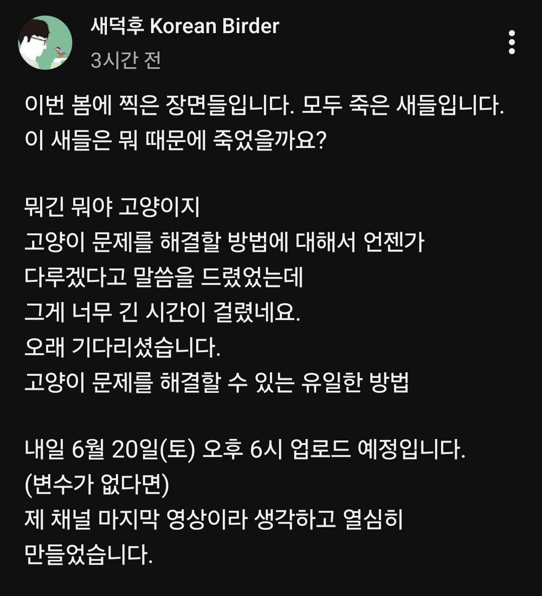 유투버 새덕후 내일 고양이 관련 예고