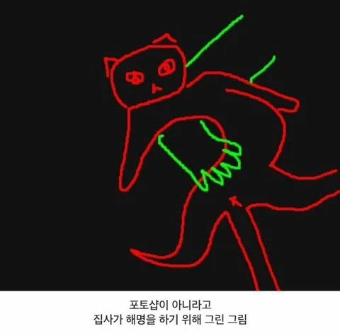 기르던 고양이의 심장을 주먹으로 꿰뚫은 여자
