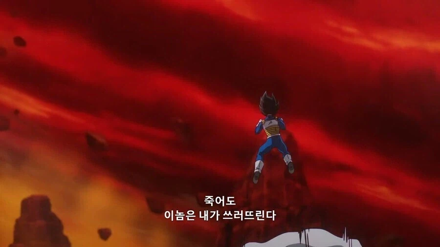 드래곤볼)베지터가 가장 좋아하는 것