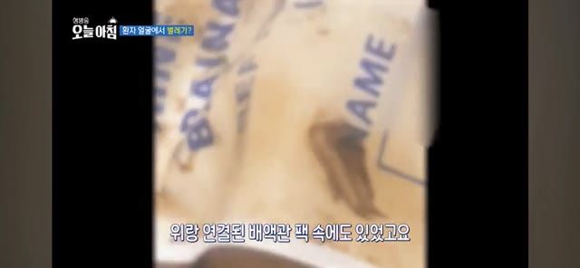약혐)의식불명 환자 코안에서 구더기 무더기로 발견된 강원도 요양병원