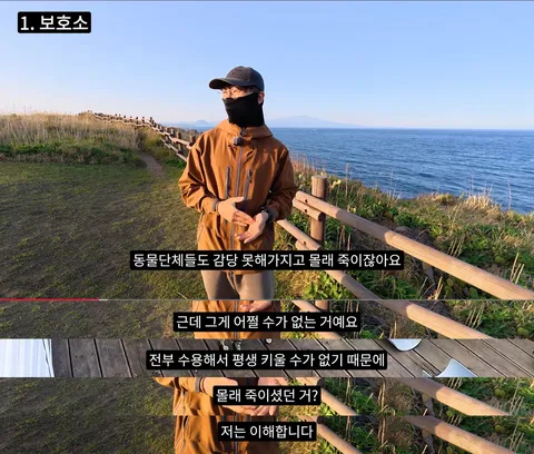 새덕후) “고양이, 이젠 죽일 수밖에 없습니다”
