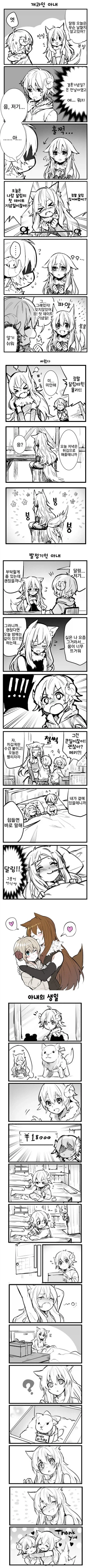 늑대같은 아내와 양같은 남편 만화