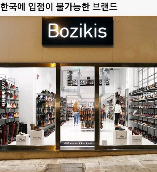 국제 보지 모음전