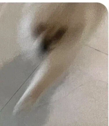 친구집에서 발매트인줄 알고 밟고 있던 것의 정체