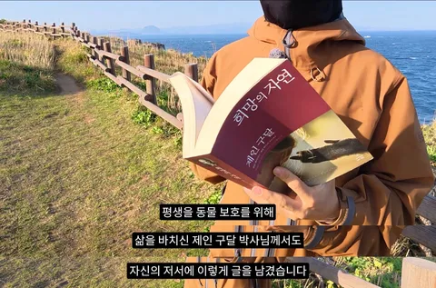 “조류 유리 충돌은 놔두고 왜 고양이만 공격하냐”?