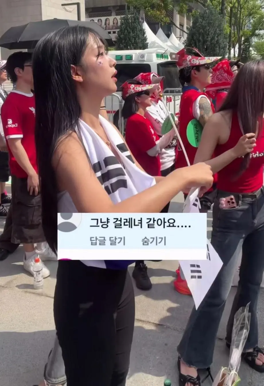 광화문 응원녀가 받은 악플 수준