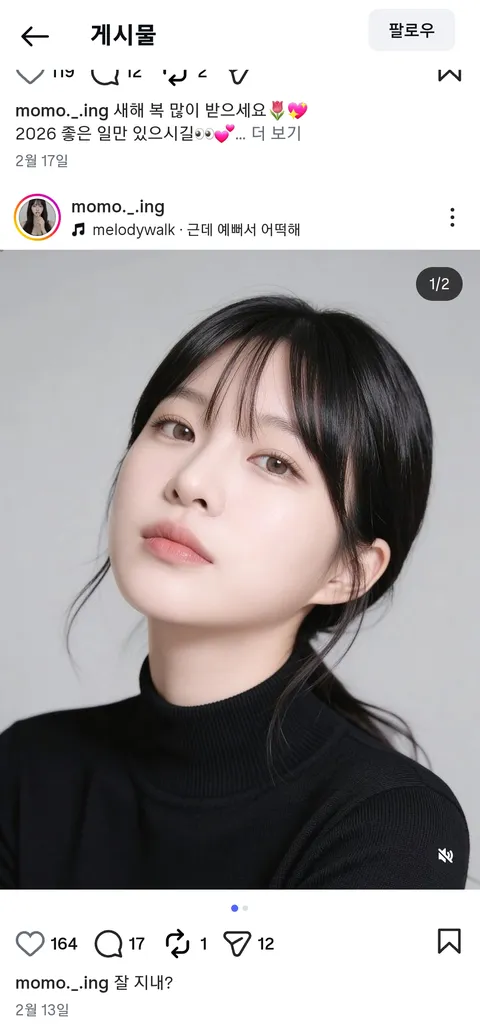 태극기 애들 AI로 인스타 계정 많이 만들었네요.