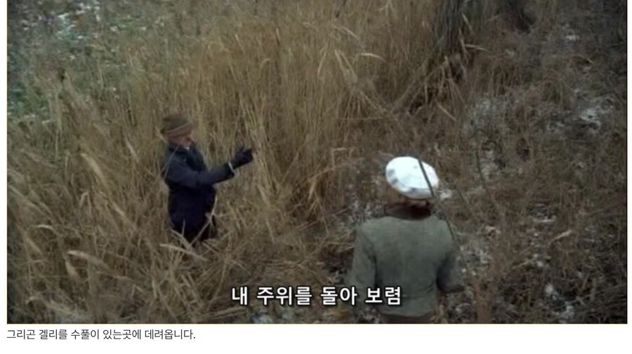 히틀러 악의 탄생