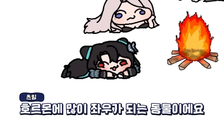 인방) 아무리 봐도 여성 맞다는 스트리머.jpg