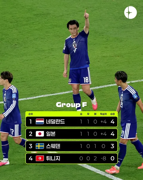 월드컵 F조 일본 vs 튀니지 경기 결과..그리고 문제된 그 깃발