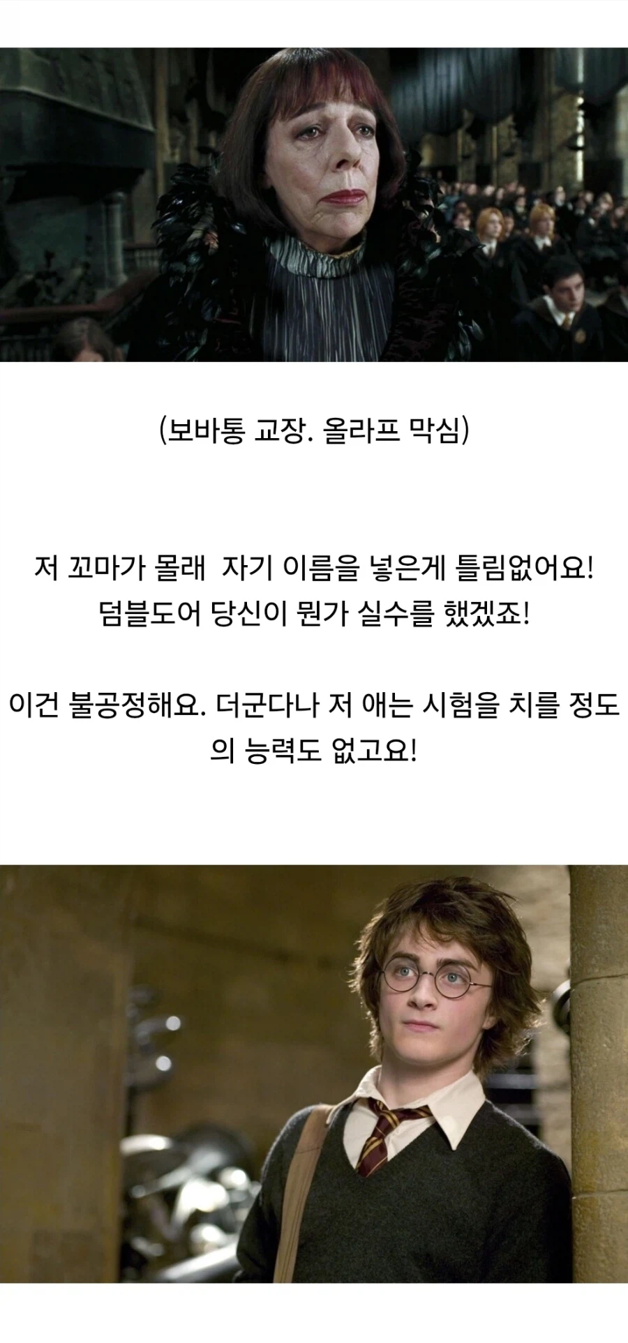 해리포터) 내가 친 드립 중에서 좋아하는 부분