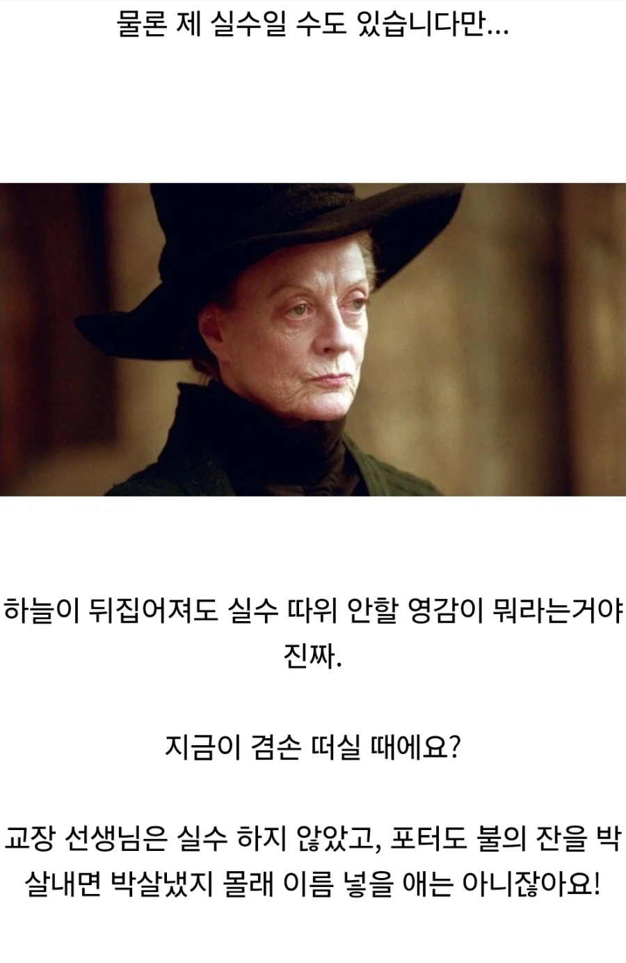 해리포터) 내가 친 드립 중에서 좋아하는 부분