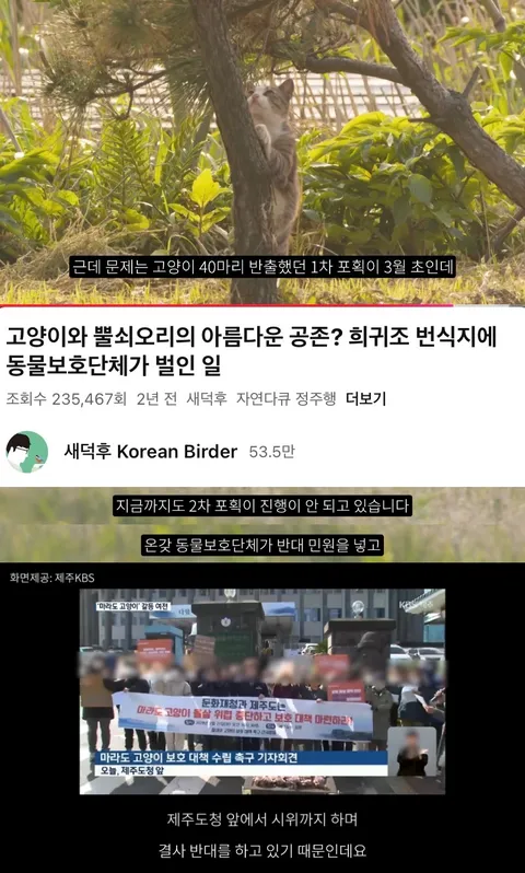 멸종위기종 절멸을 향한 꼼꼼함에 감탄하는 EU