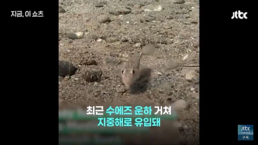 한국의 도움이 긴급히 필요해 보이는 그리스 근황