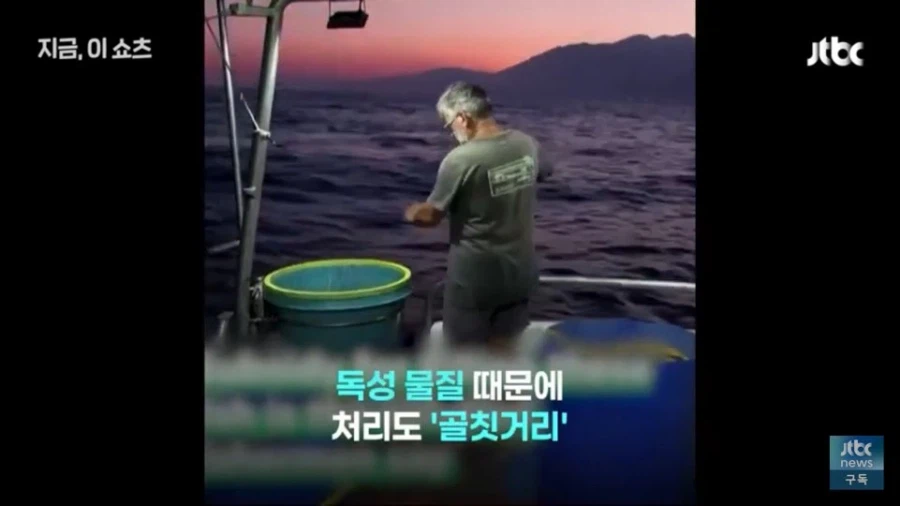 한국의 도움이 긴급히 필요해 보이는 그리스 근황