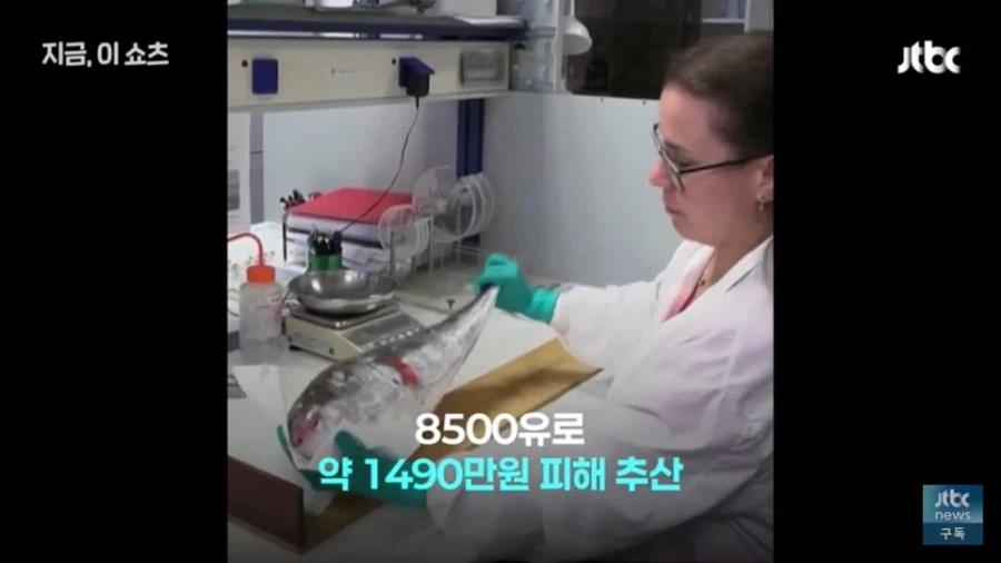 한국의 도움이 긴급히 필요해 보이는 그리스 근황