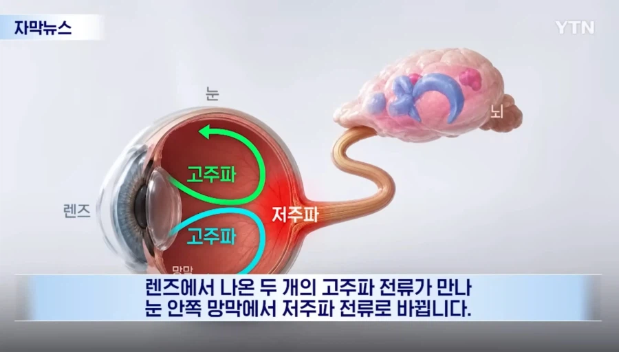 상상도 못한 국내 우울증 치료제 개발 근황 ㄷㄷㄷ;;