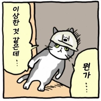 한국은 쉬었음 청년.... 그렇다면 일본은...?