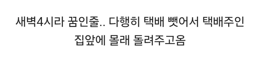 집앞에서 운동하다가 택배 훔치는 고양이봤어