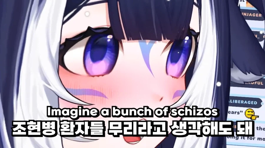 버튜버)인방 데뷔 생각하는 사람들에게 조언해주는 샤이릴리.JPG