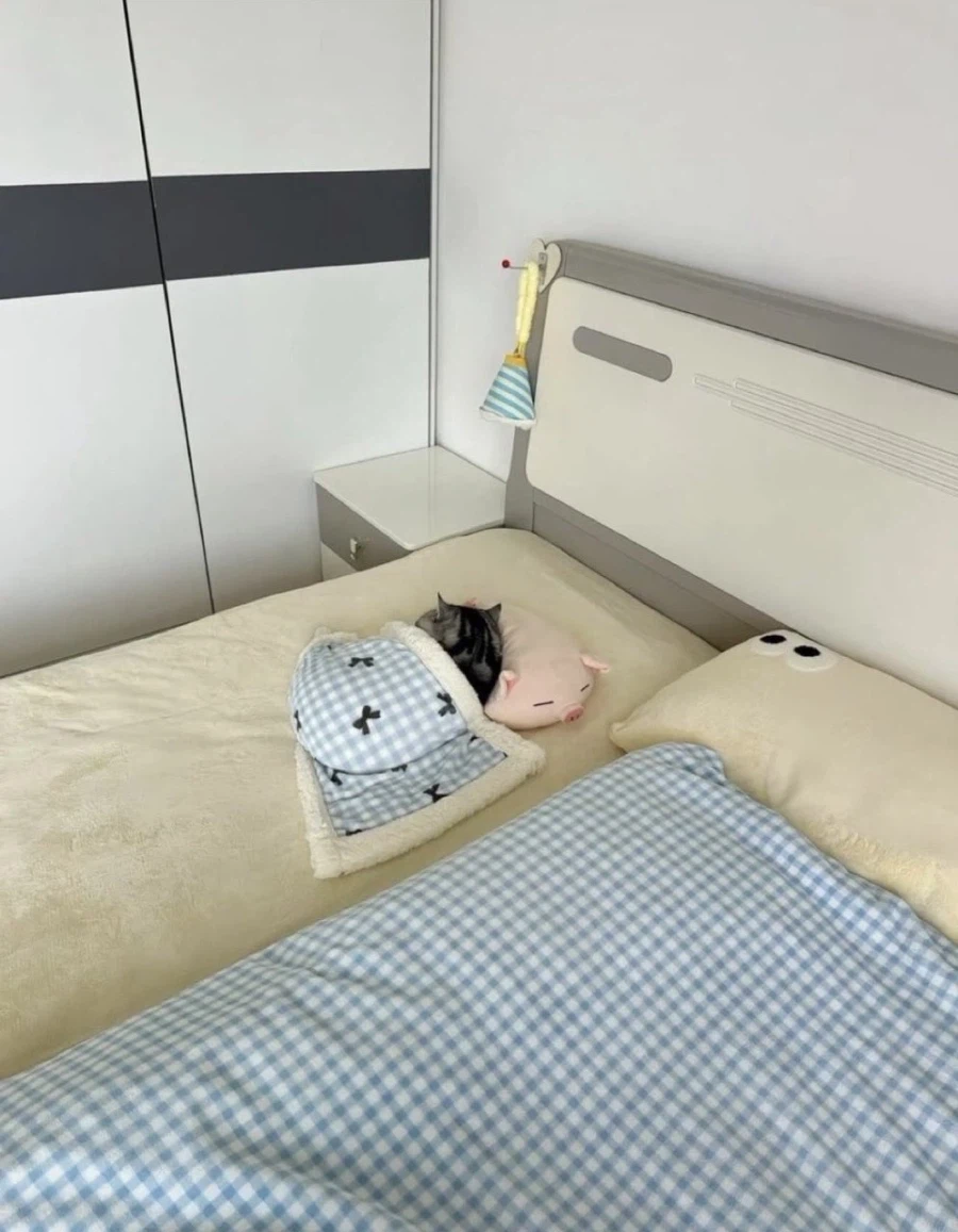 엄마 고양이 잘지내? 라고 물으니 보내오신 사진