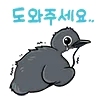 뿔쇠오리의 눈물은 계속된다... '불공정 생태계' 끝내자