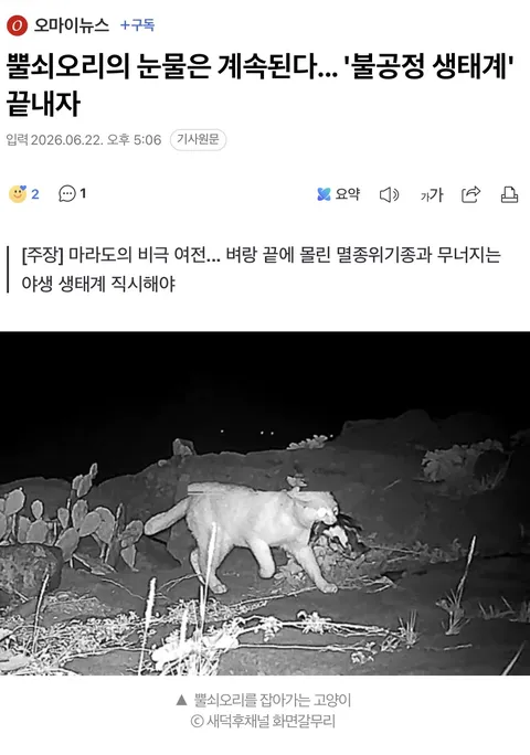 뿔쇠오리의 눈물은 계속된다... '불공정 생태계' 끝내자