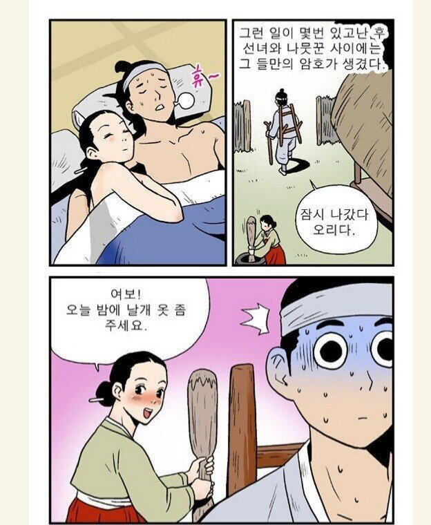 선녀와 나뭇꾼의 의무방어전