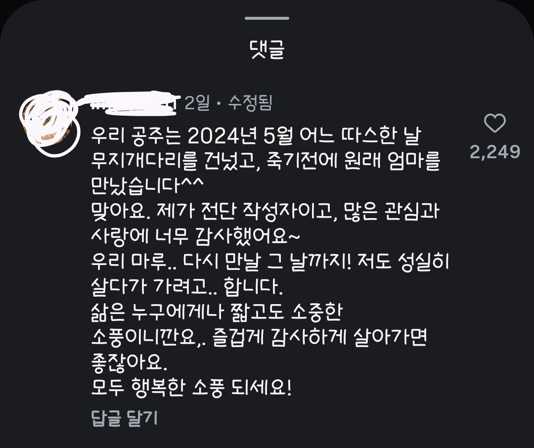 17년전 강아지를 준 아주머니를 찾던 전단지 후기