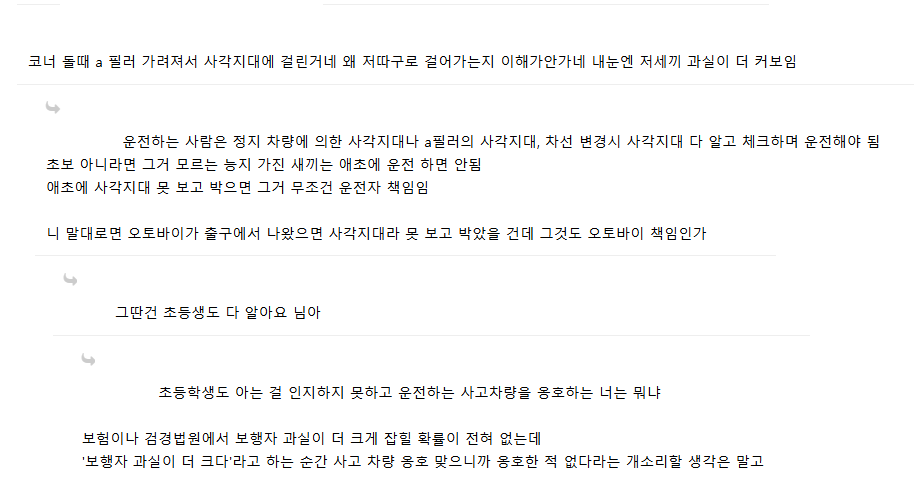 " 차주잘못 vs 보행자잘못 " . gif