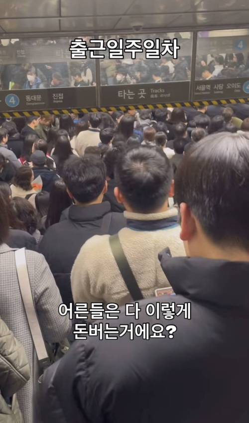 출근 일주일차 직장인 후기