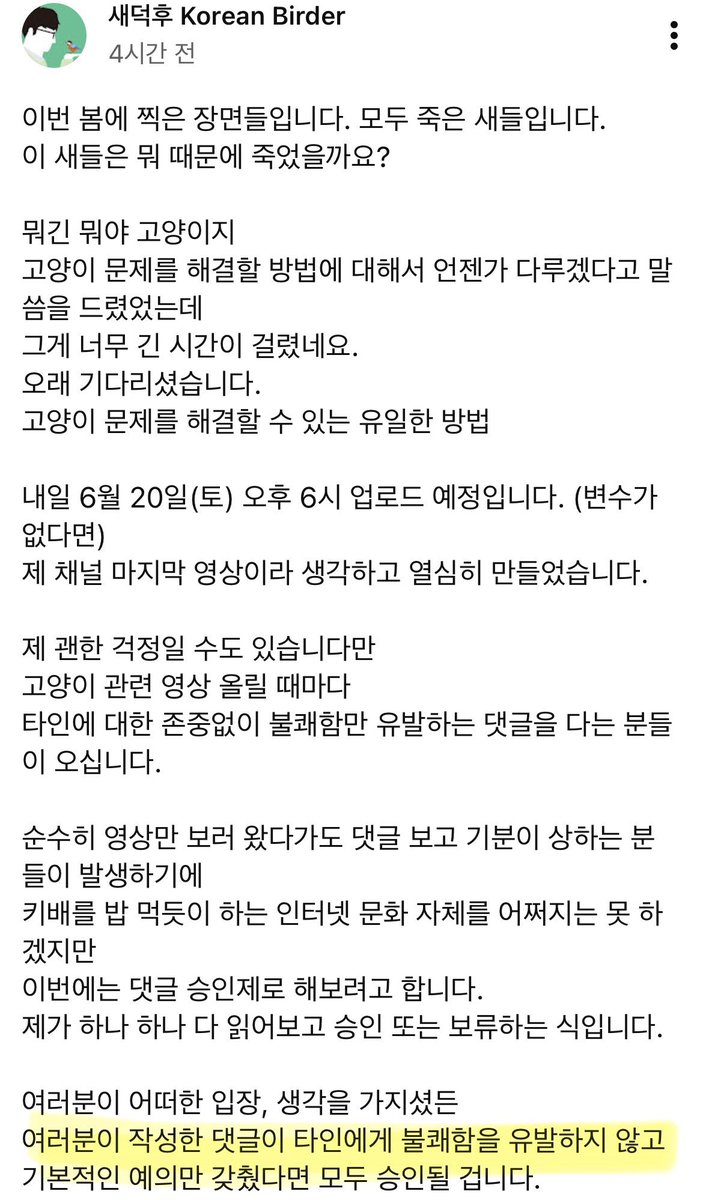 "새덕후" 고양이 영상에 달린 충격적인 댓글 (잔인함 주의)
