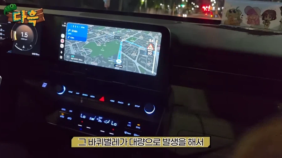 약스압)서울역 캣맘(바퀴맘)영상 보는데 광기가 차원이 다르네