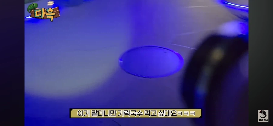 약스압)서울역 캣맘(바퀴맘)영상 보는데 광기가 차원이 다르네