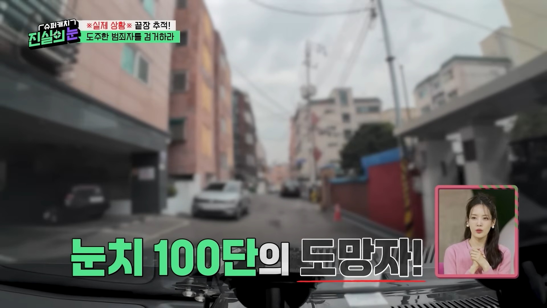 열심히 사는 범죄자놈들