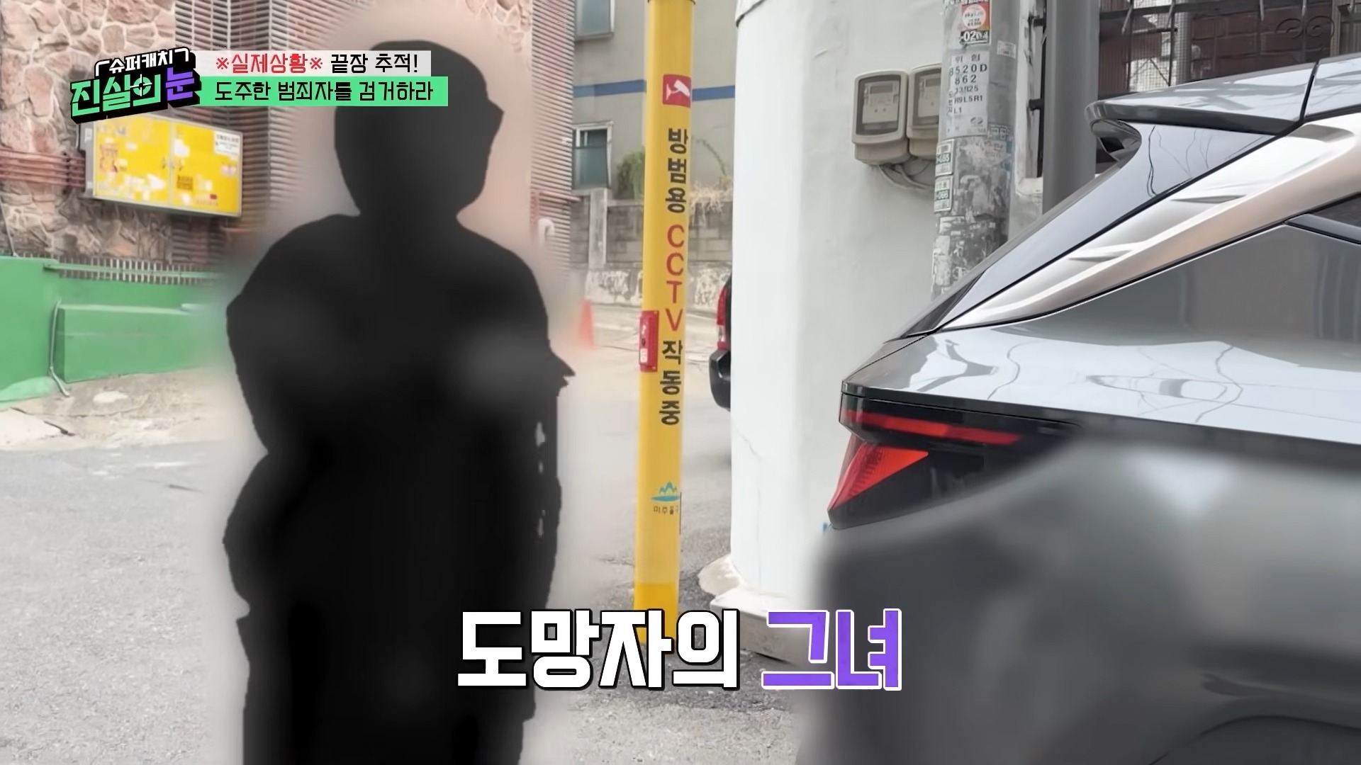 열심히 사는 범죄자놈들