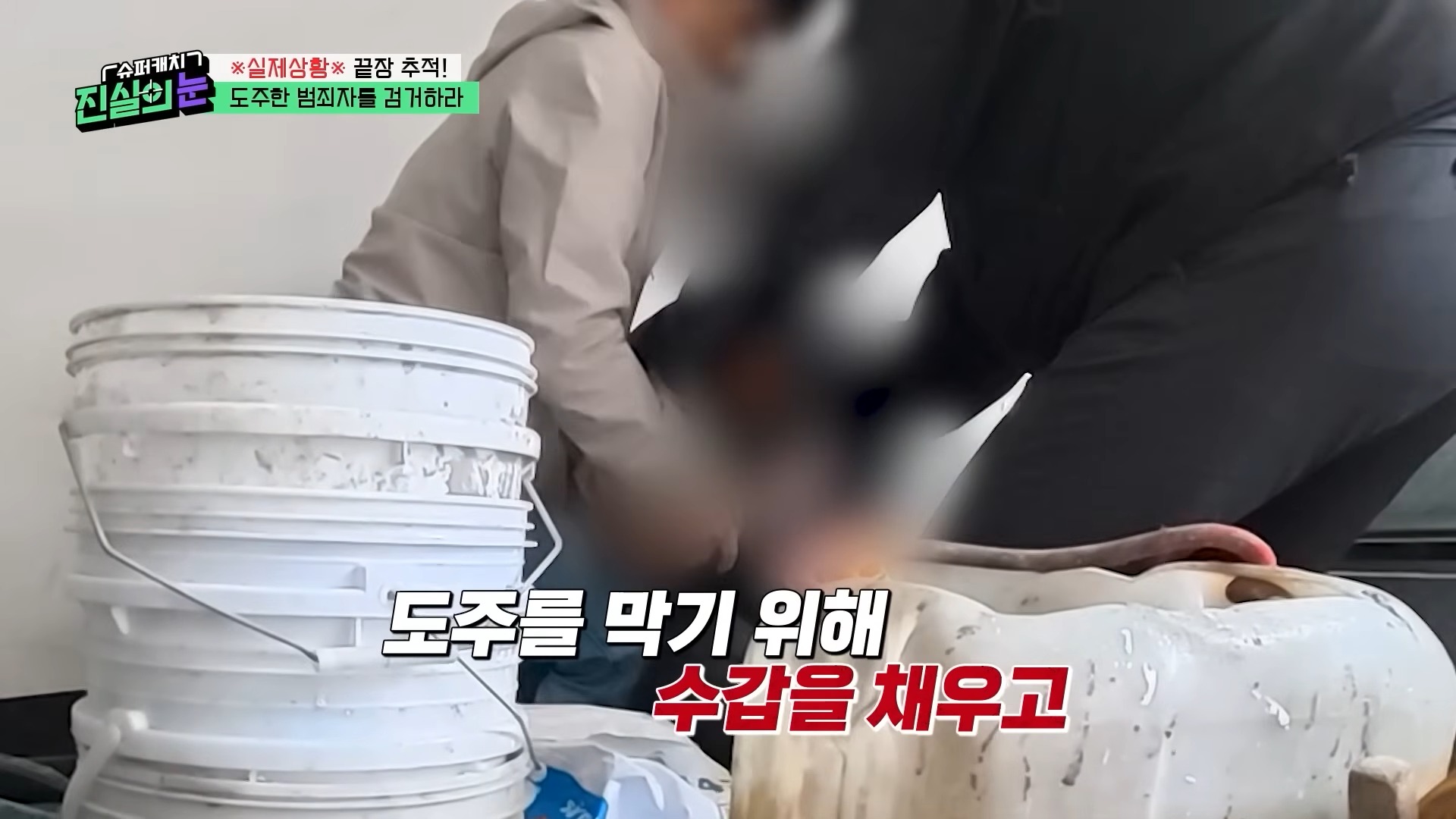 열심히 사는 범죄자놈들