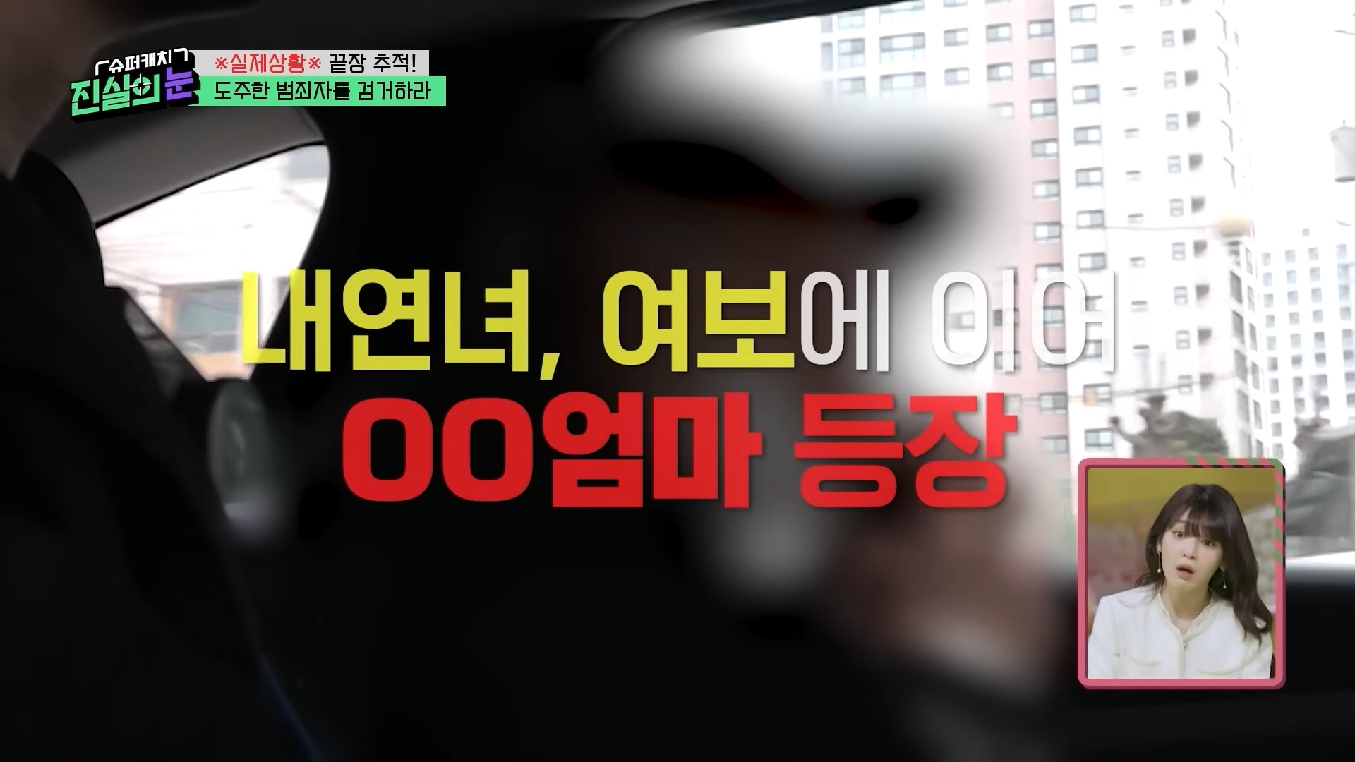 열심히 사는 범죄자놈들