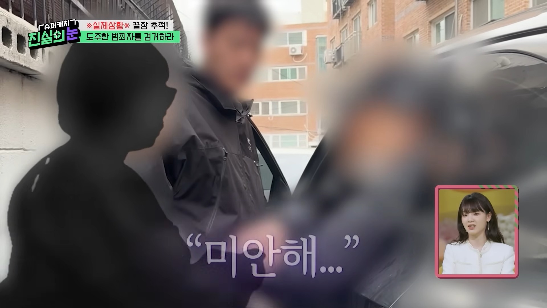 열심히 사는 범죄자놈들