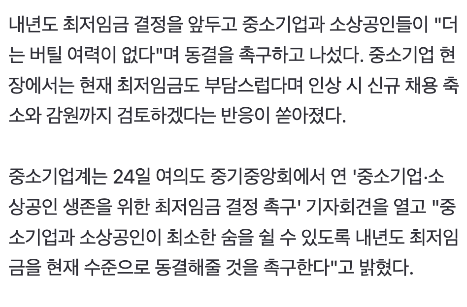 📈  "최저임금 인상 더 못버텨, 제발 살려달라"…중소기업의 눈물