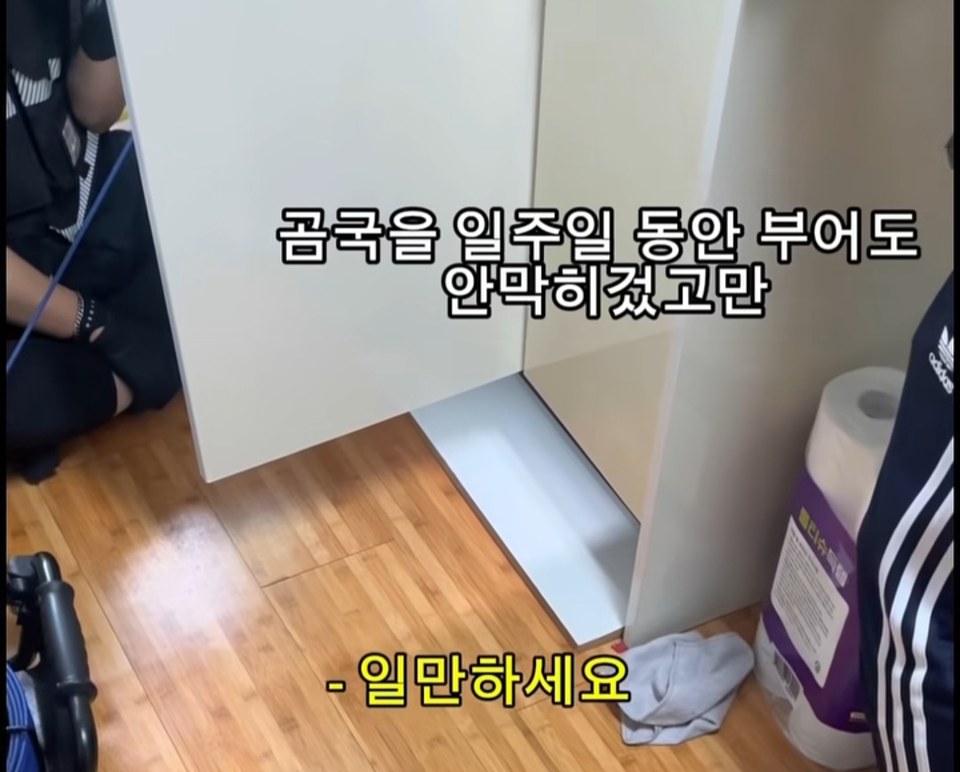 월세 세입자들 ptsd 온다는 마라탕 대참사