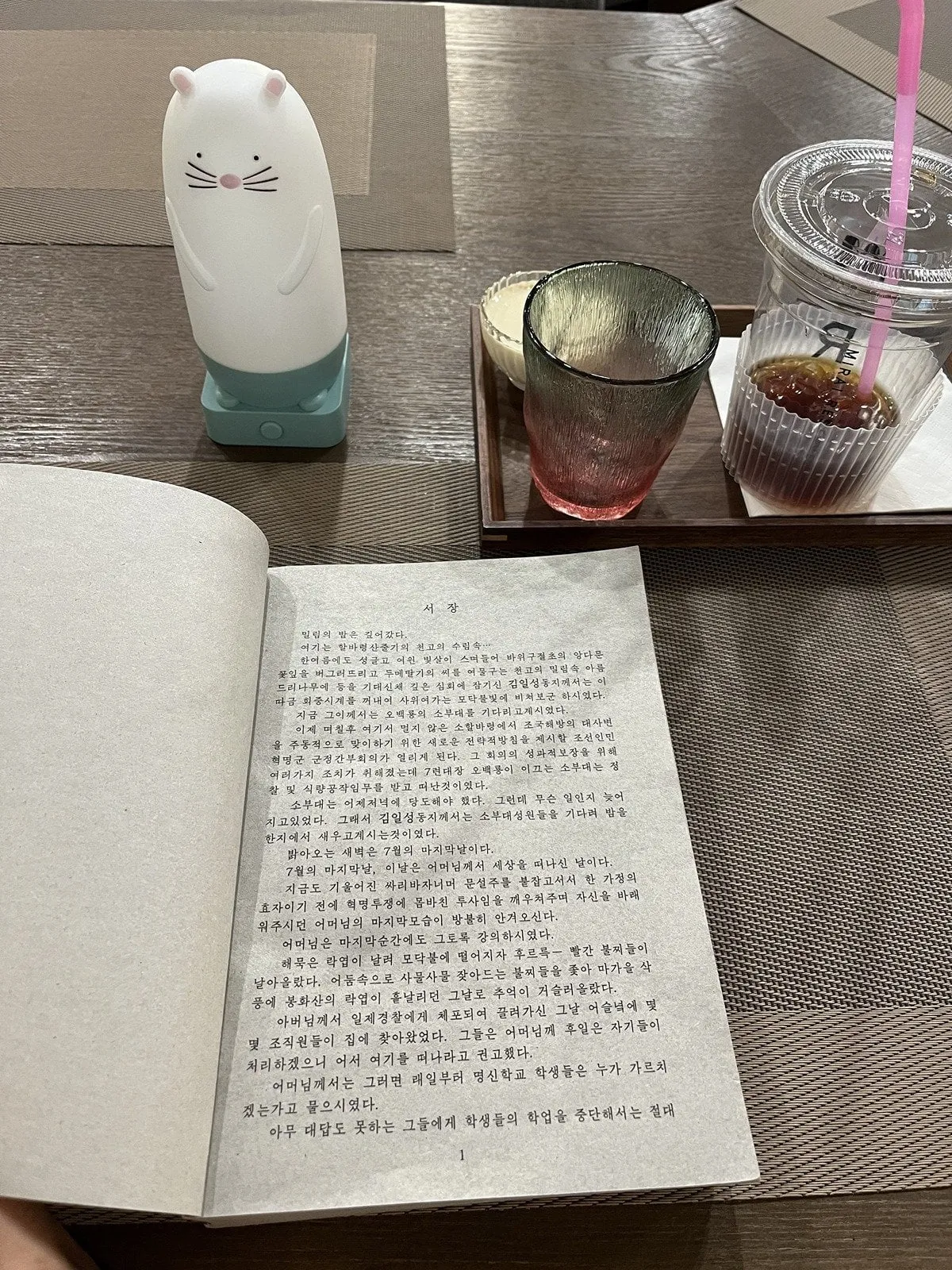 북한 평양 카페 근황