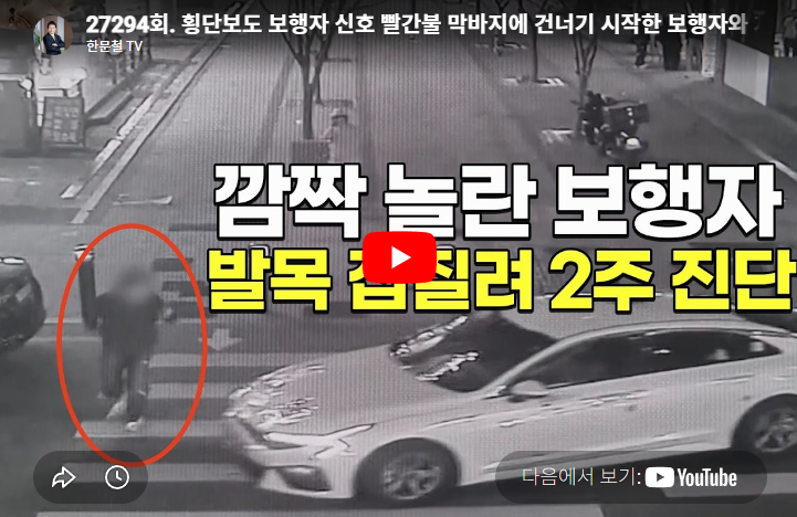 벌금 100만원 사고. JPG