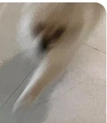 친구집에서 발매트인줄 알고 밟고 있던 것의 정체