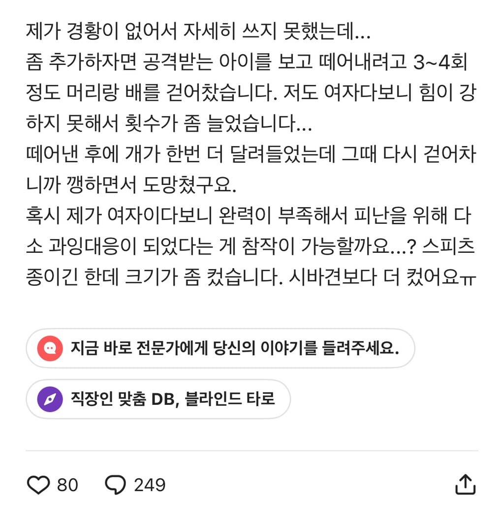 개 상해비를 얼마를 물어줘야할지 조언 부탁드려요.blind