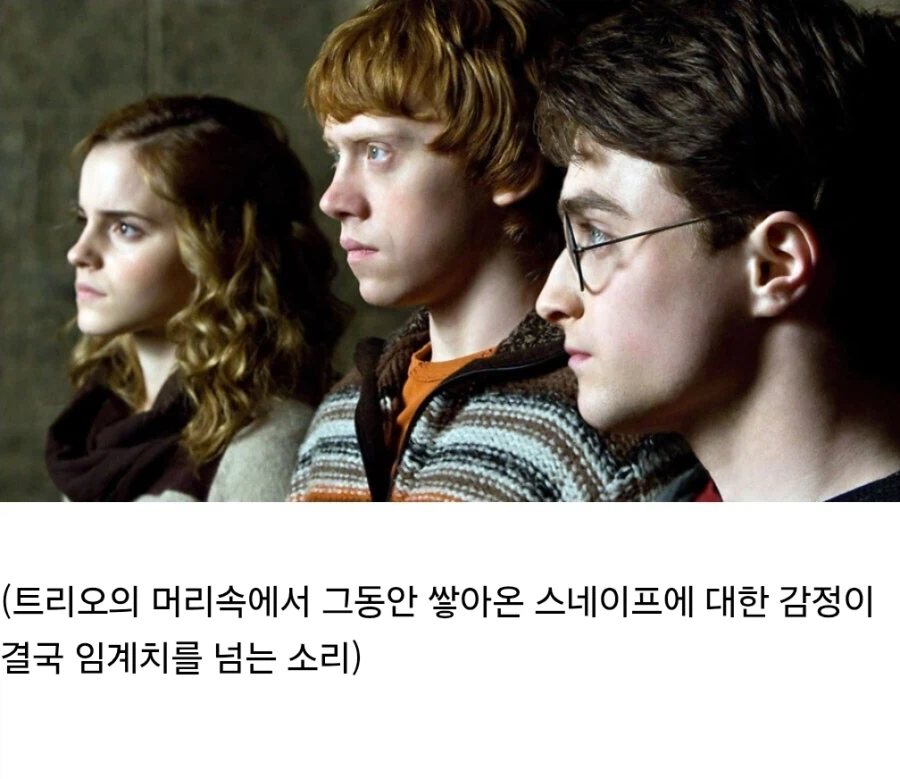 해리포터) 스네이프가 영화에서 가장 미화된 순간
